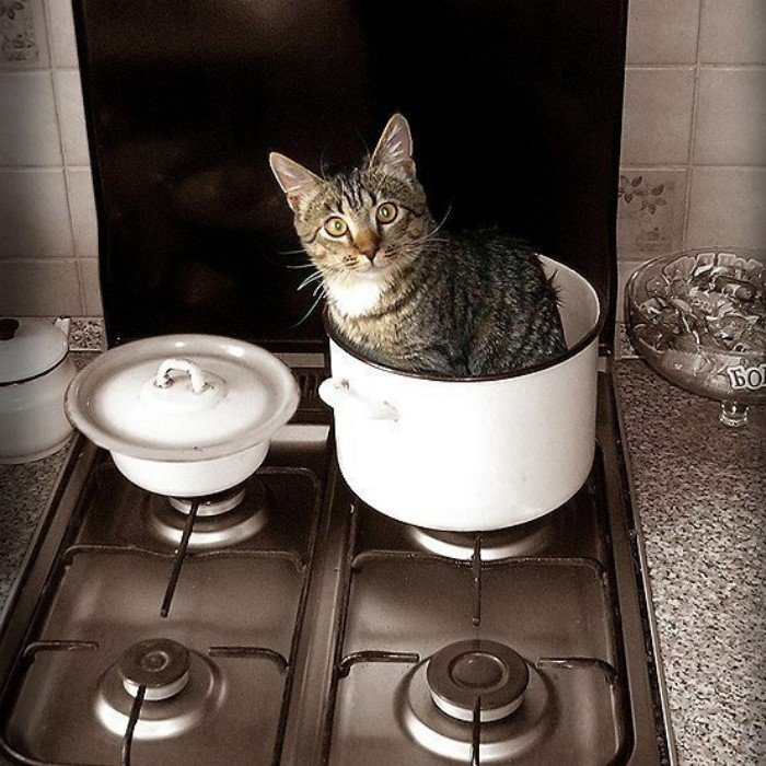 А потом стул с котом. Комикс про кота. И что потом с котом. Потом потом суп с котом. Мемы про суп.