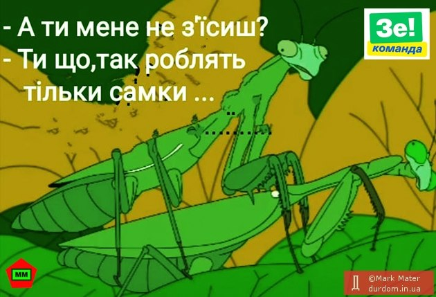 04_24_2021_06_37_pm_yg0juzZApn0JILE4p4BYt1muXsHA83tgCMxMrxyP.jpeg